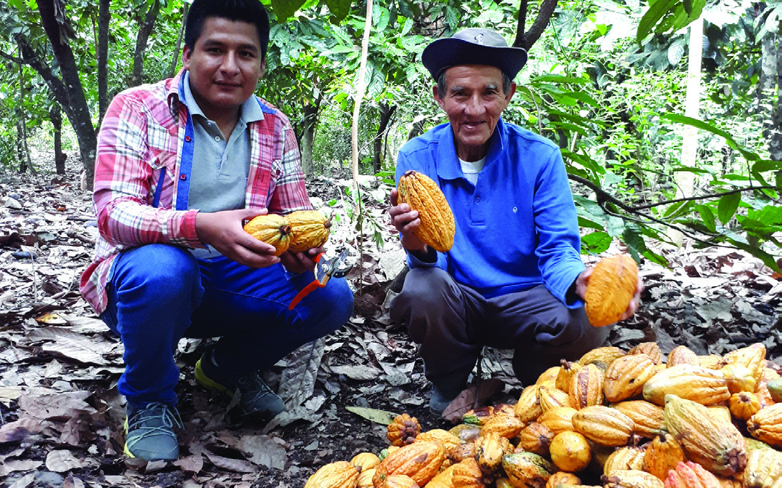 clBrochures_chuncho-4