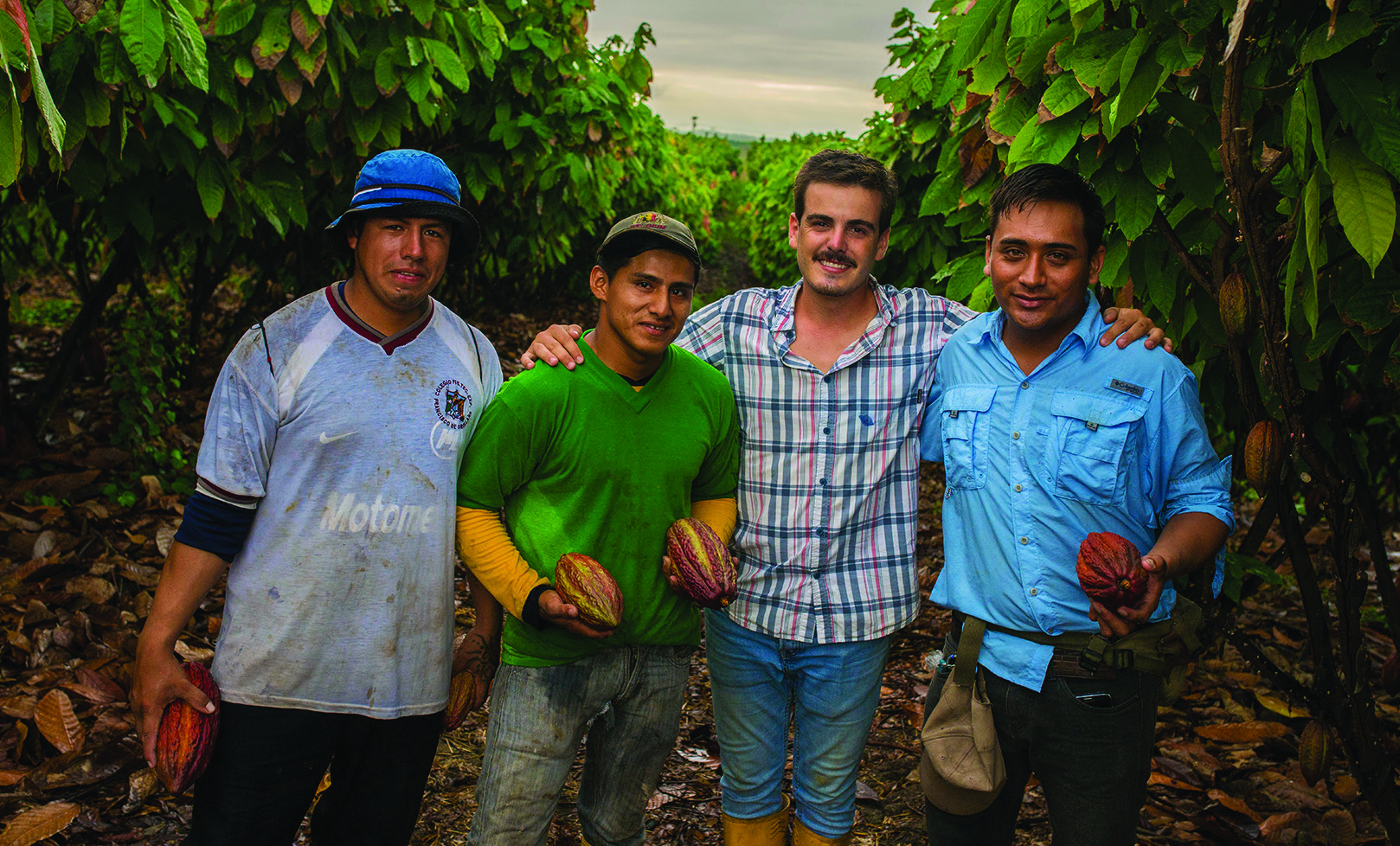 clBrochures_lasofia-4