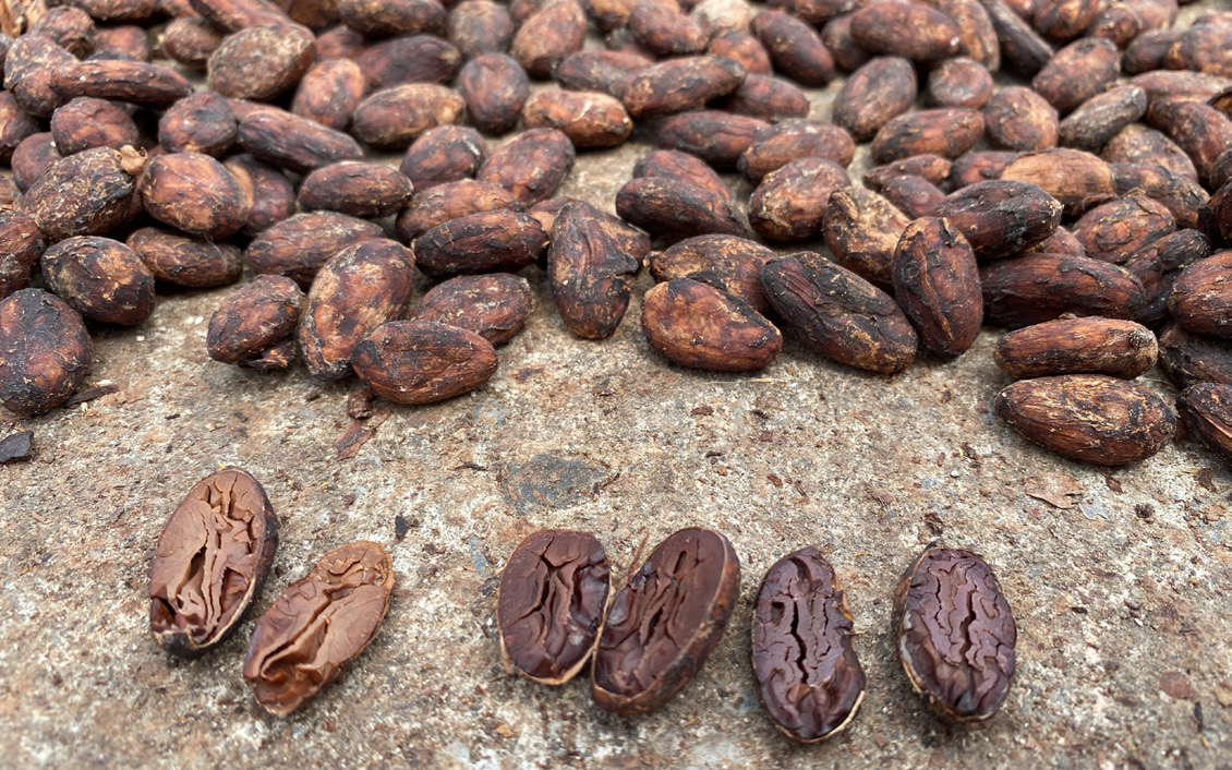 clBrochures_lasofia-5