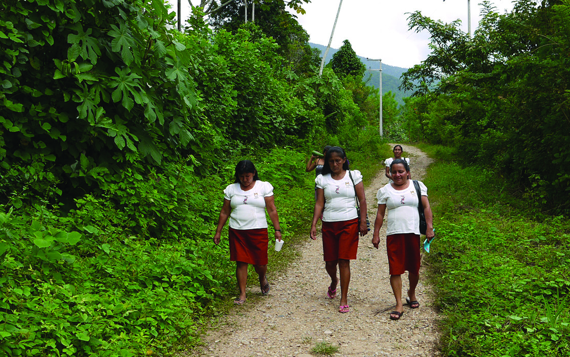 clBrochures_majambo-5